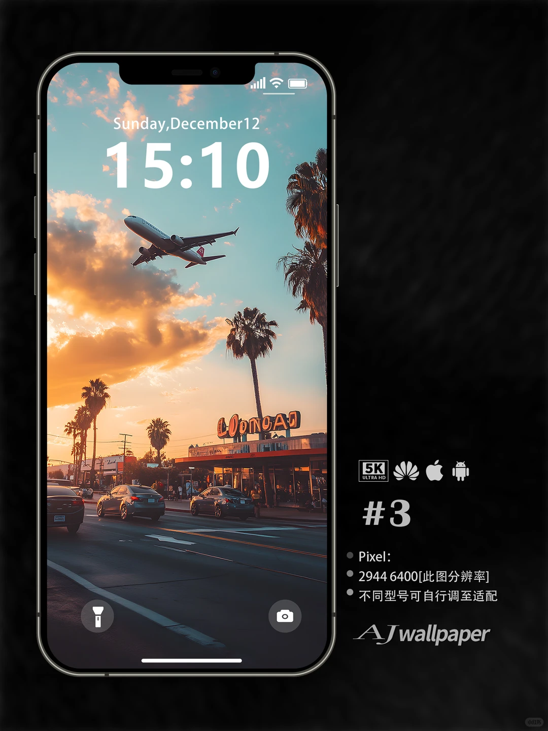 Wallpaper ｜夕阳下的飞机与棕榈树