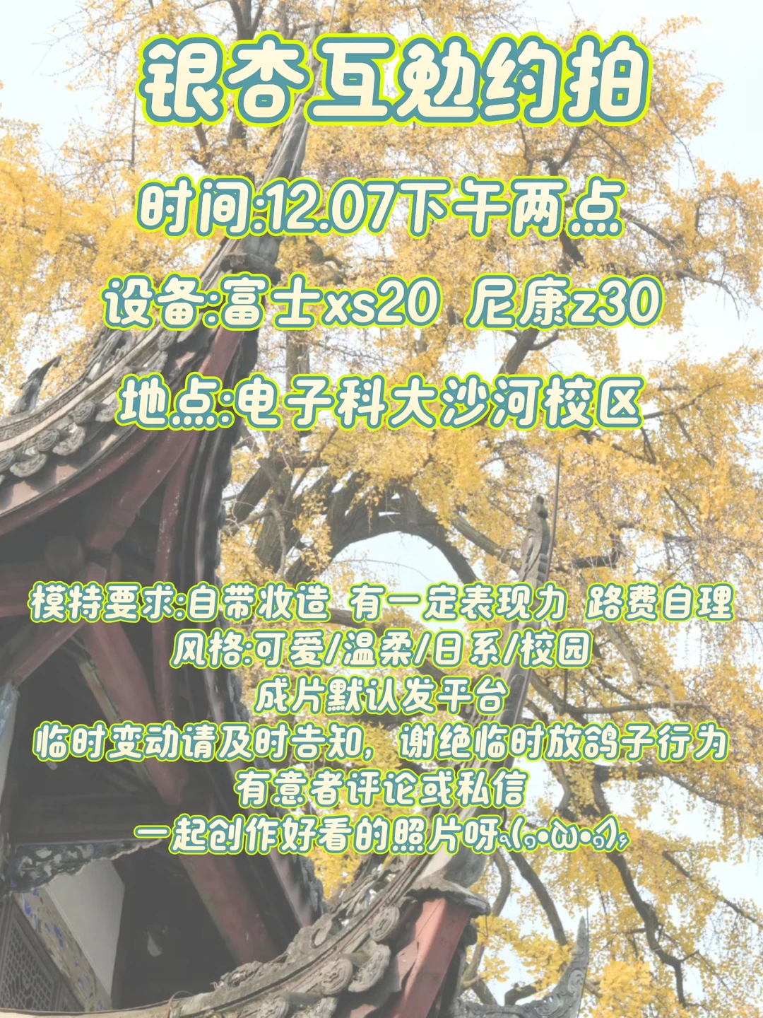 蹲互勉银杏模特