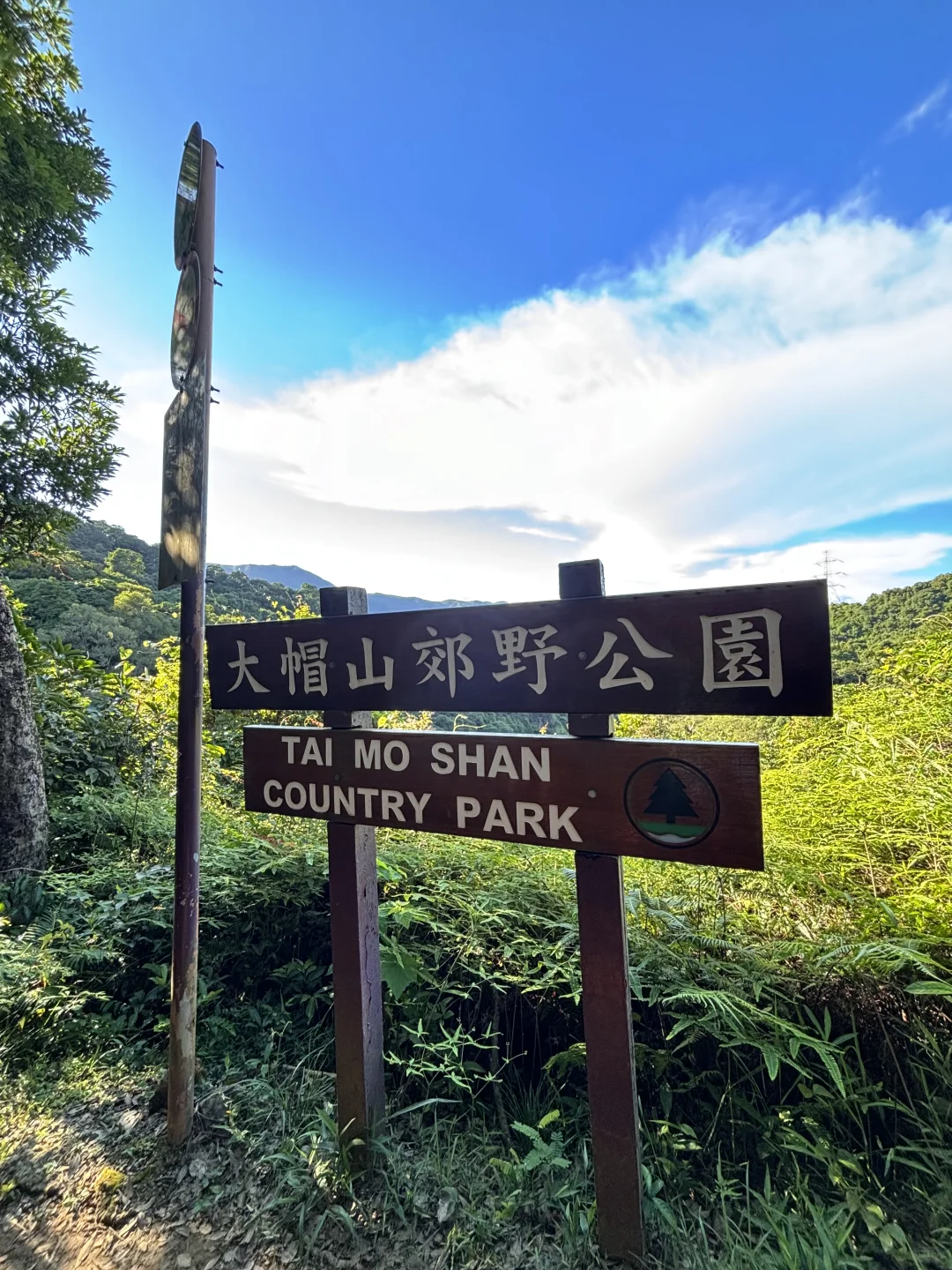 向大自然借些生命力