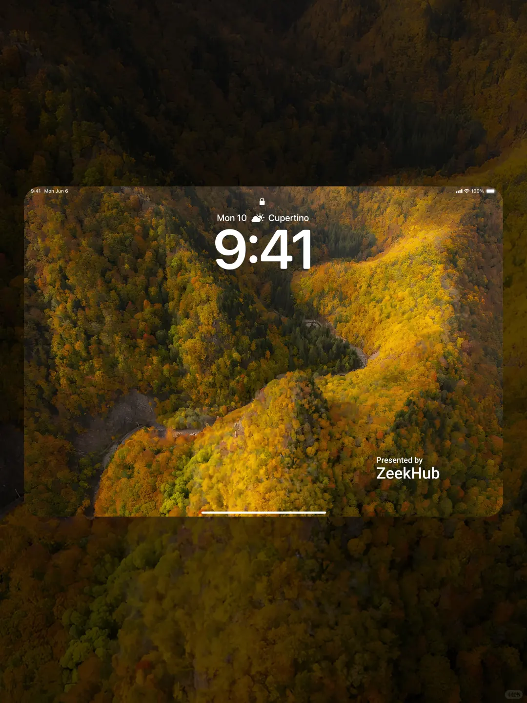 550丨秋意泛金丨iPad锁屏壁纸丨超清壁纸