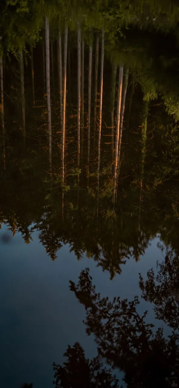 𝐒𝐡𝐚𝐫𝐞｜iPhone壁纸258期