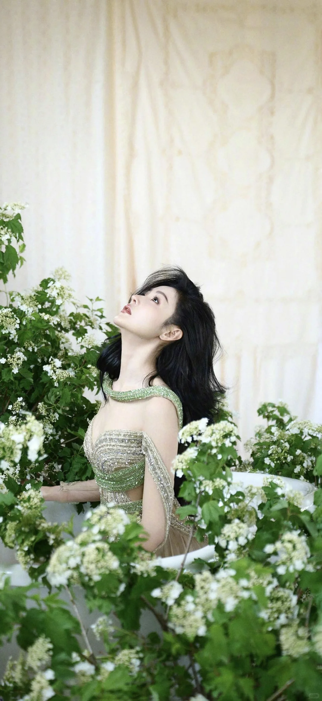 张天爱壁纸 1469