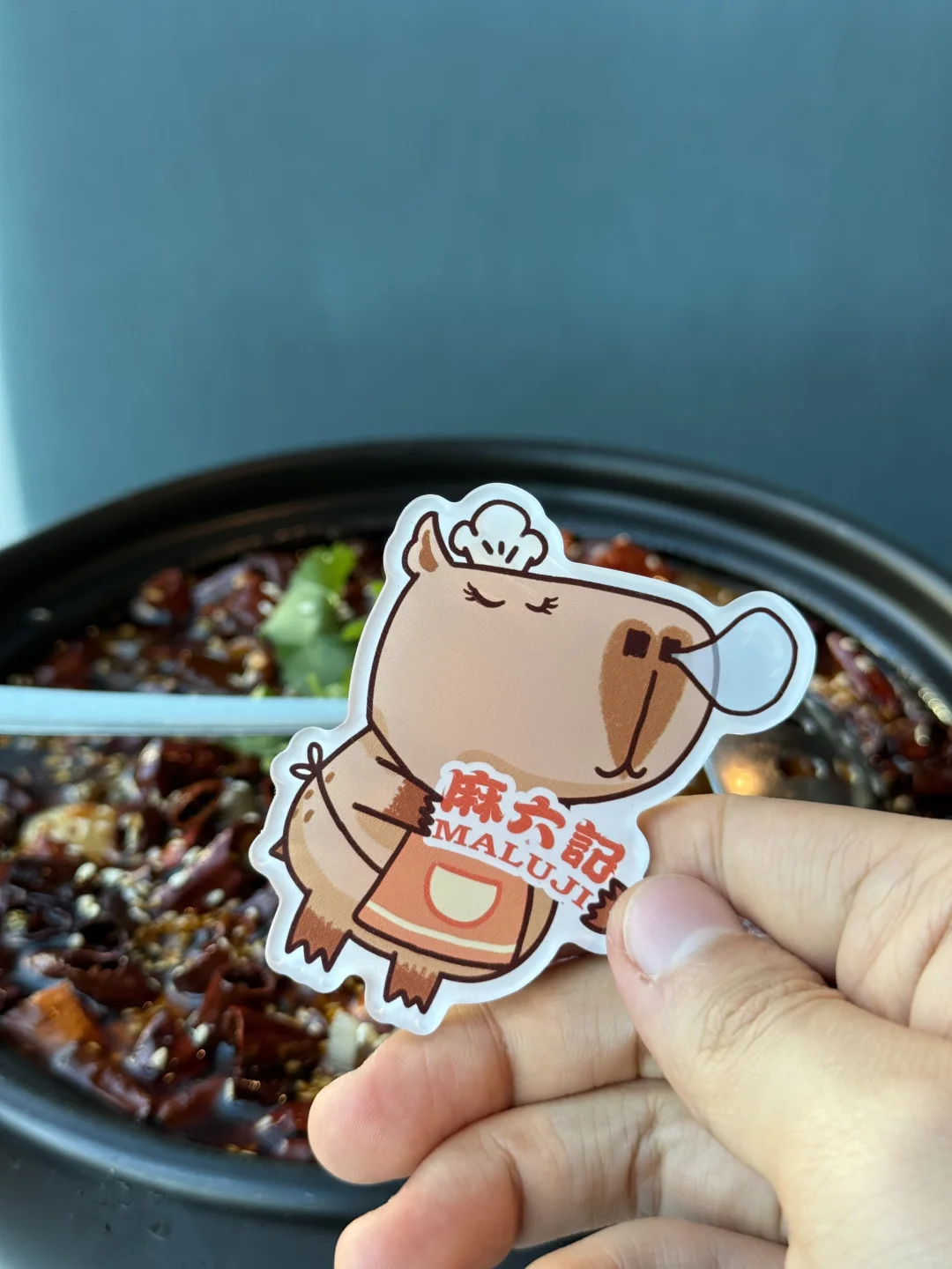 🐾卡皮巴拉周边控狂喜！为了这组周边怒冲～