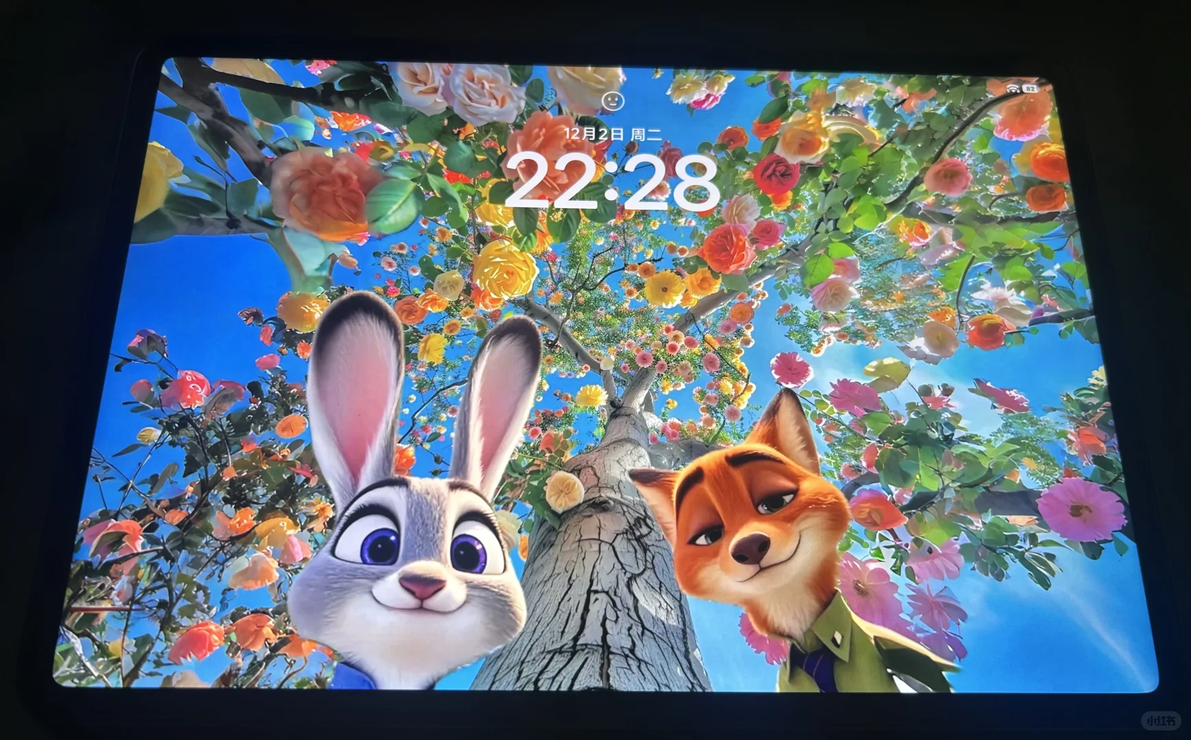 疯狂动物城动态壁纸已拥有！谁还想要！