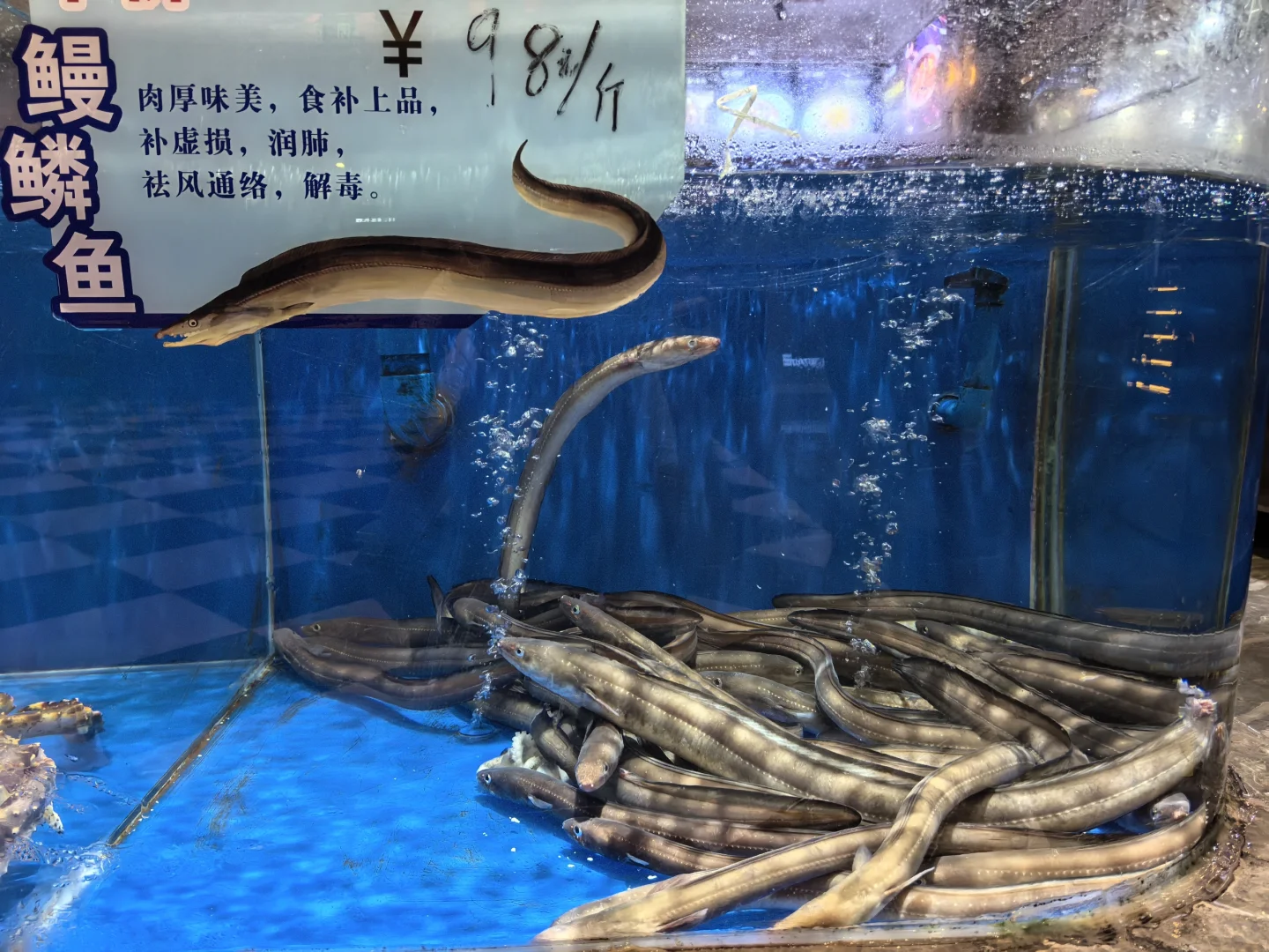 名古屋家族滞在签证