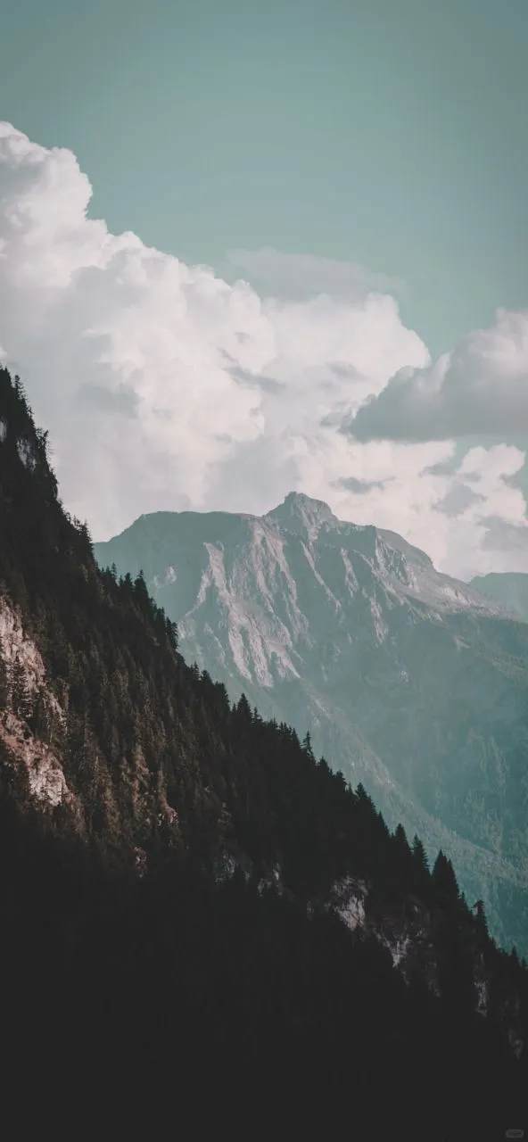 𝐒𝐡𝐚𝐫𝐞｜iPhone壁纸258期