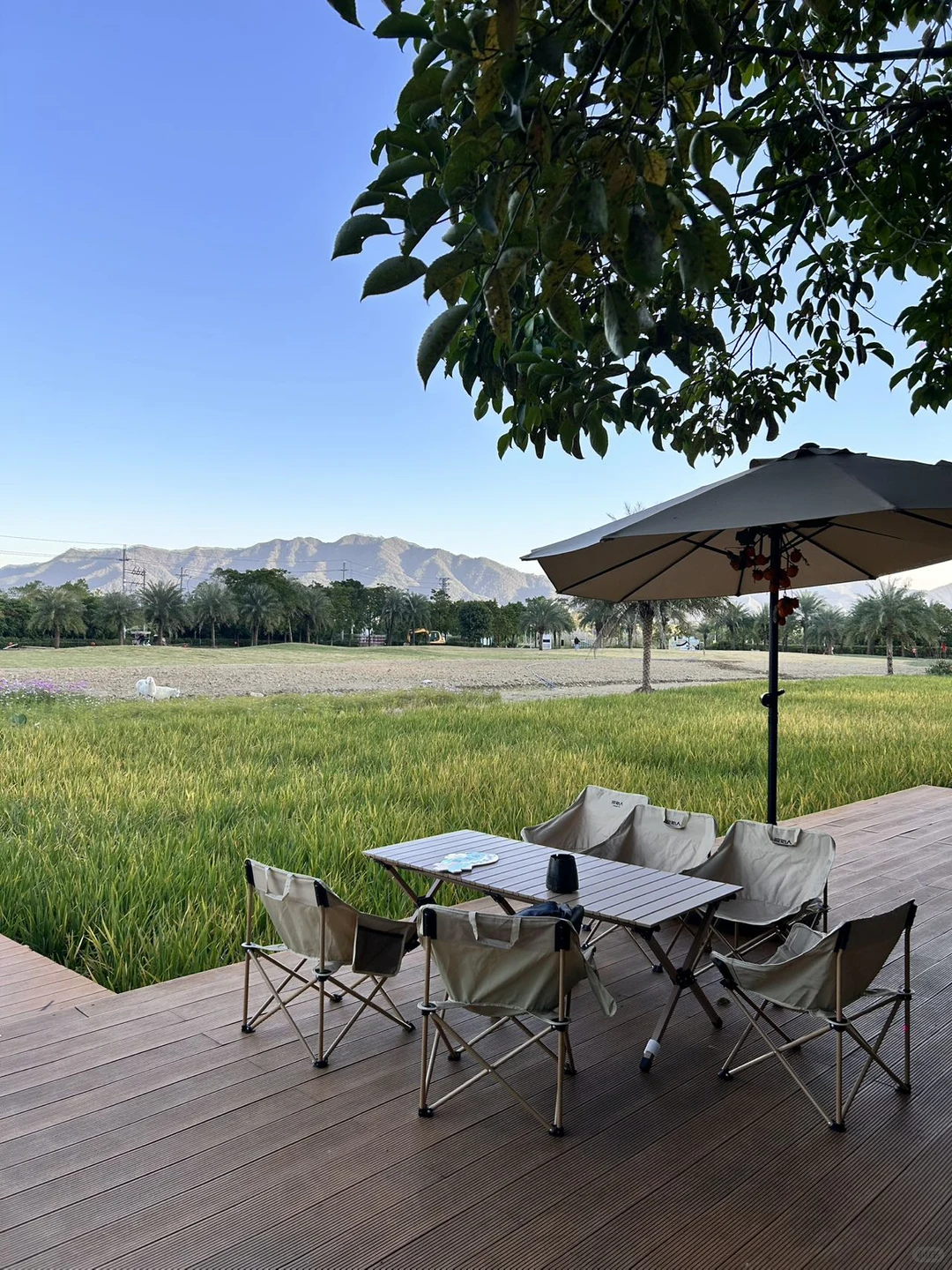 清远三坑！我在岭南温泉第一镇过暖冬♨️