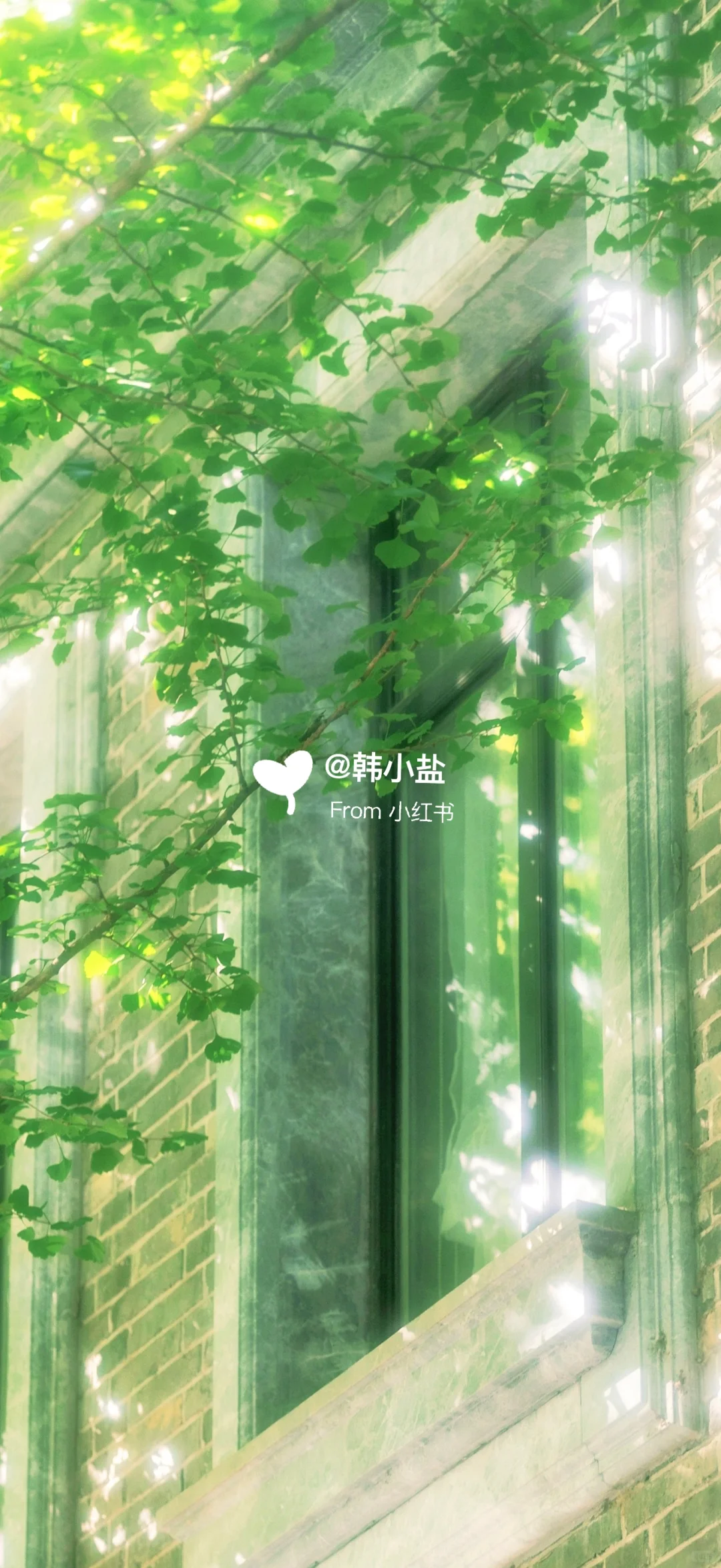 📆日历壁纸𝐒𝐡𝐚𝐫𝐞 ◡̈°｜阳光正好