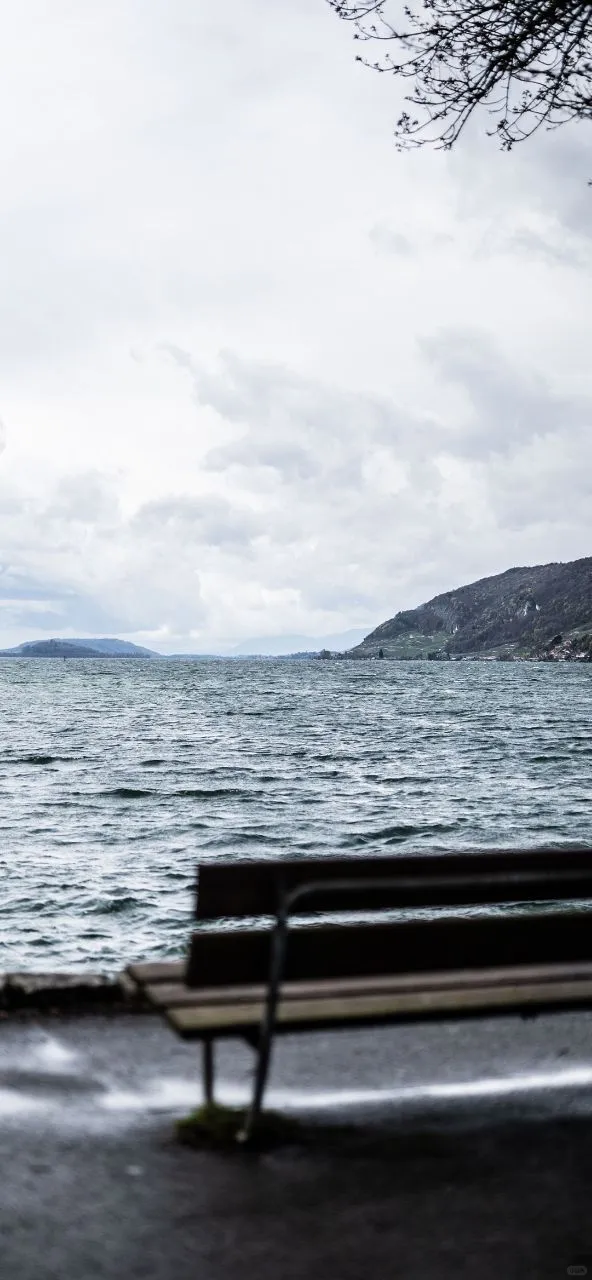 𝐒𝐡𝐚𝐫𝐞｜iPhone壁纸258期