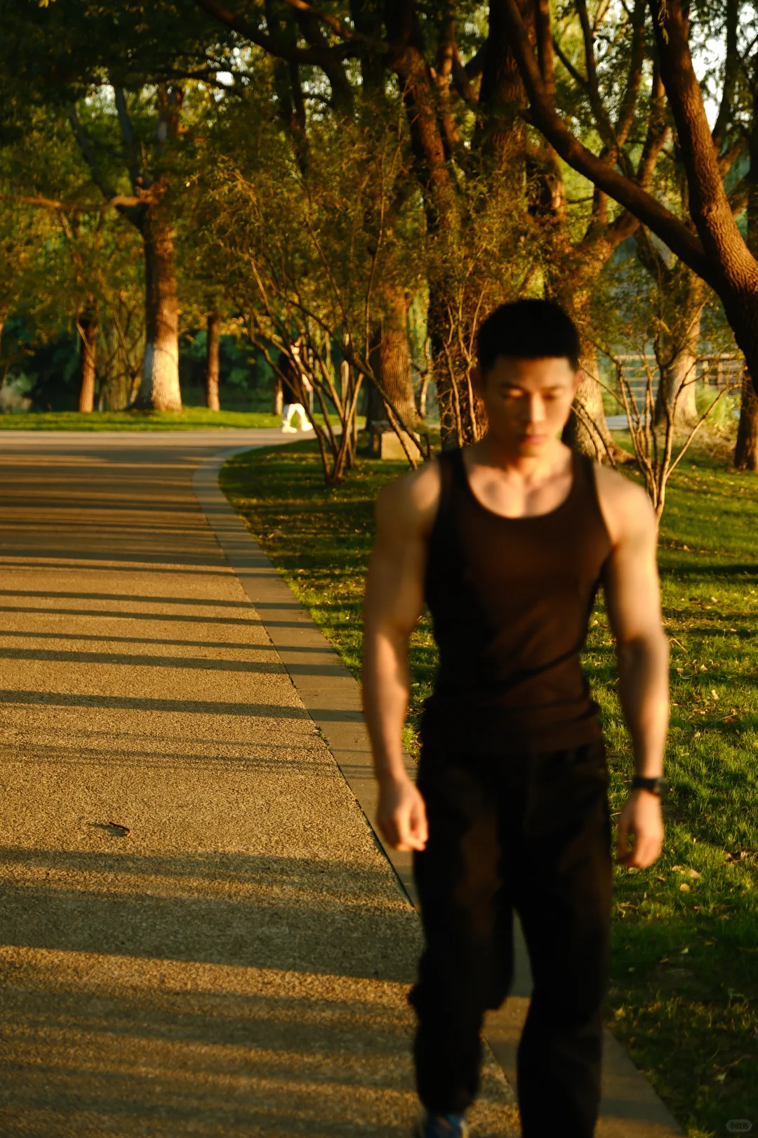 高能量自然法则，亲近大自然