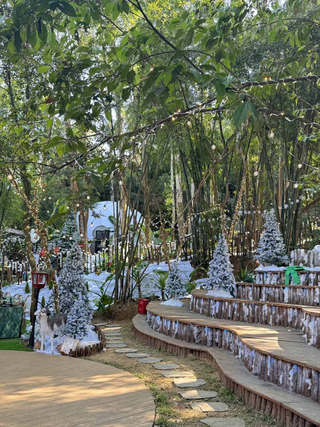 🎄圣诞氛围已拉满…