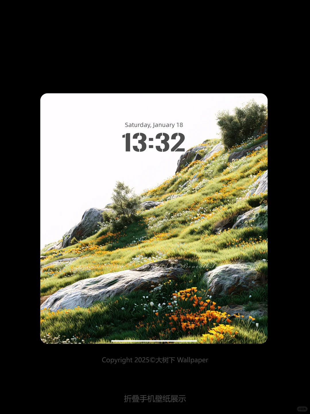 贫瘠山谷肆意绽放的花 | 护眼高清手机壁纸