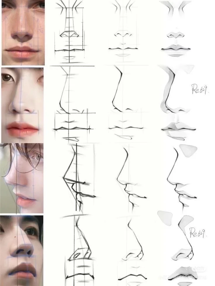 面部最突出的地方