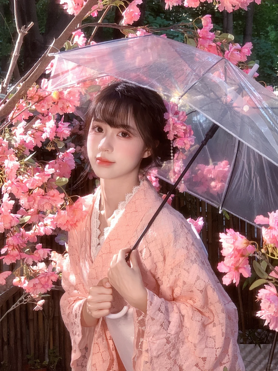 不用去大理！成都也能拍樱花🌸写真