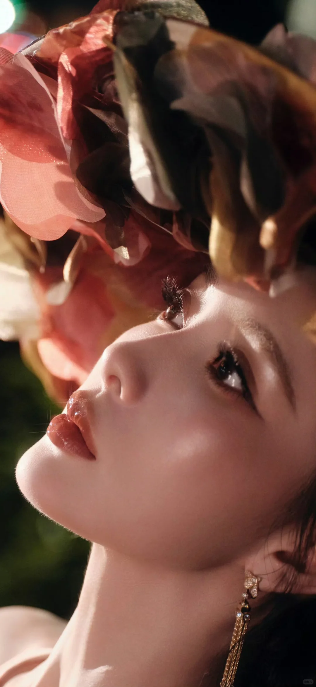 20251201明星壁纸｜【孟子义】～