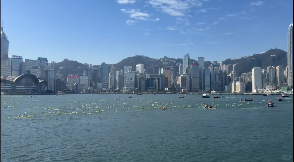 2025 维港泳 游了1700米……