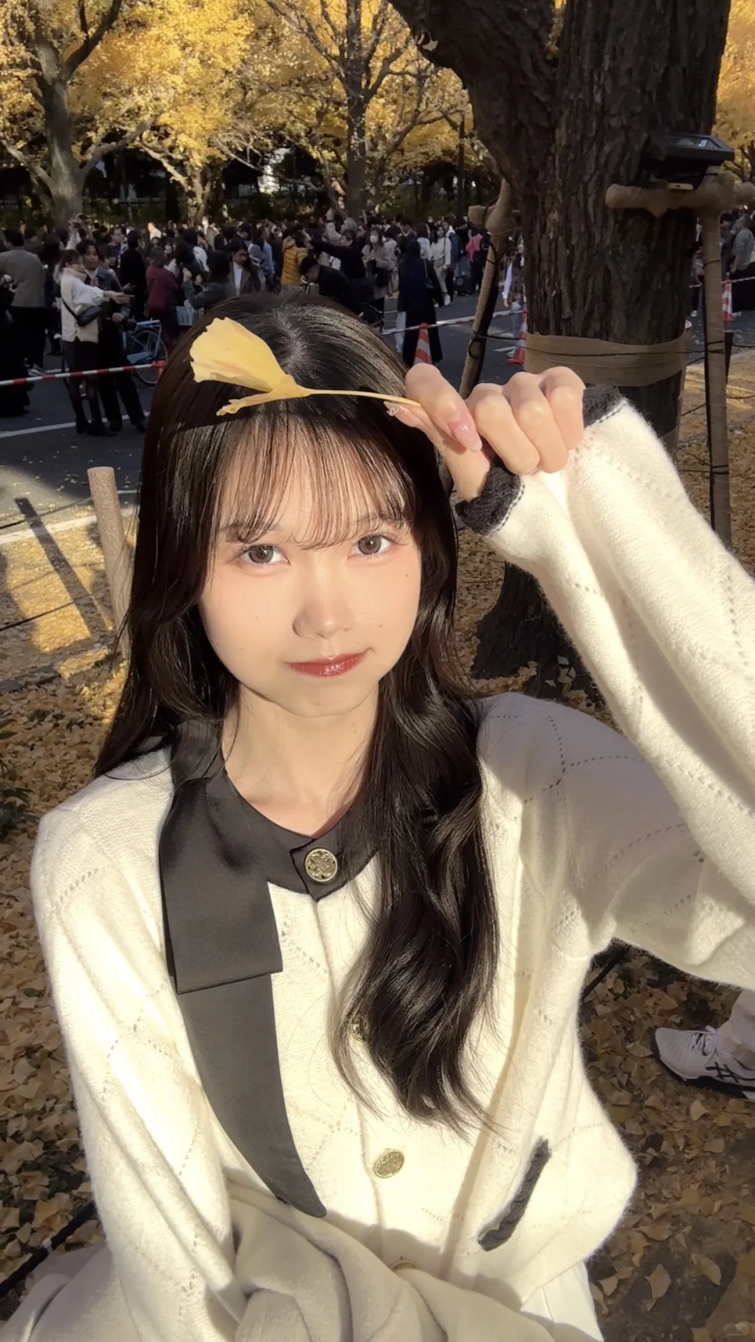 去抓住秋天的尾巴🍂