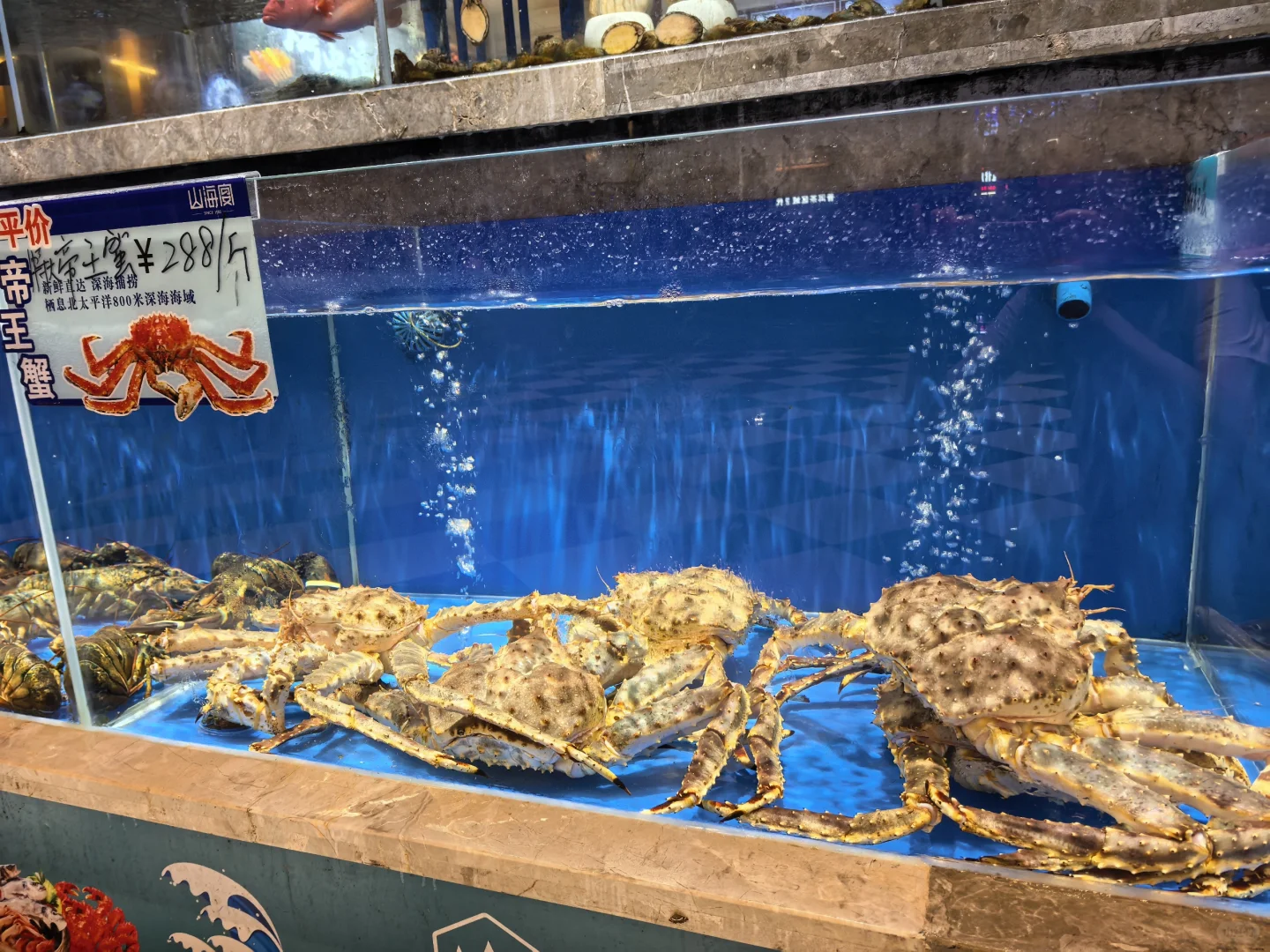 名古屋家族滞在签证