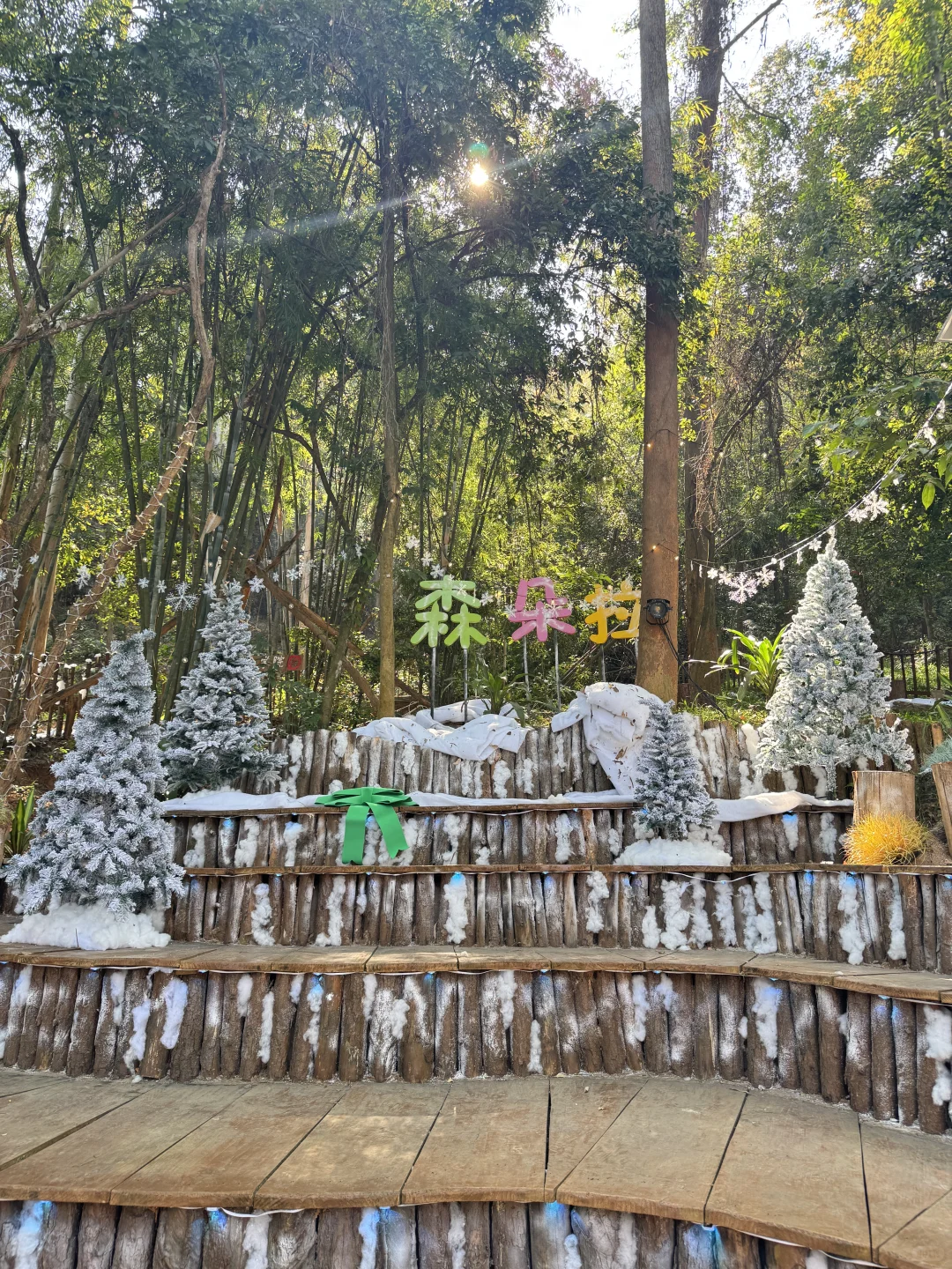 🎄圣诞氛围已拉满…