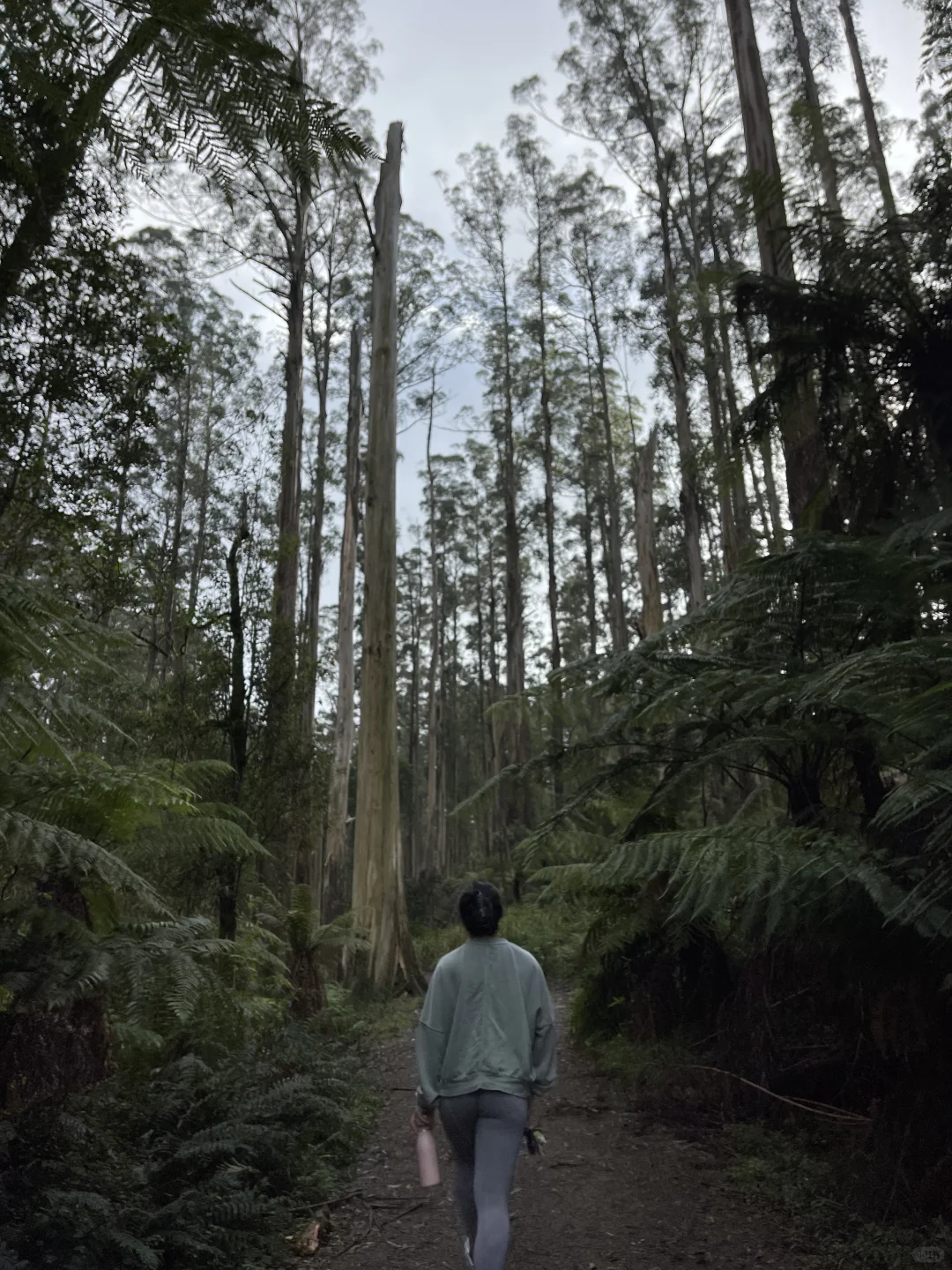 别吵了！还是穿秋裤去爬山比较舒服