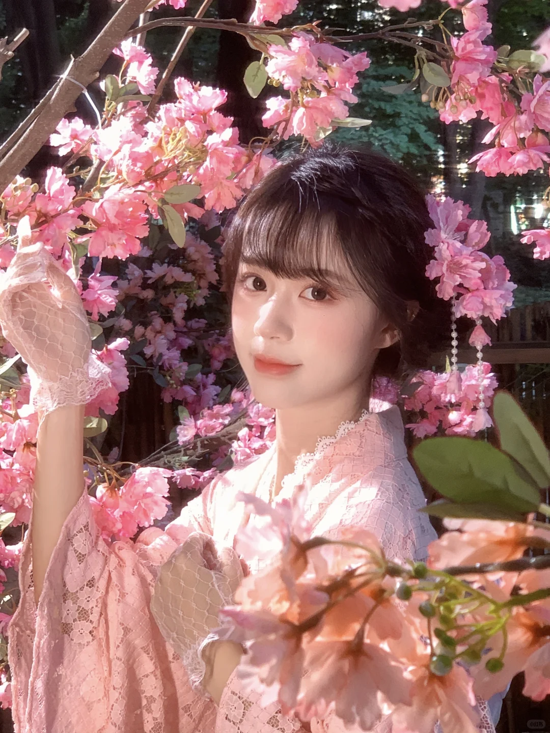 不用去大理！成都也能拍樱花🌸写真