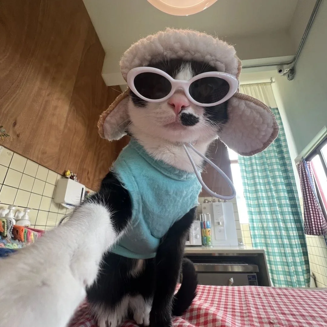 爱死这身紫色了～游泳🏊