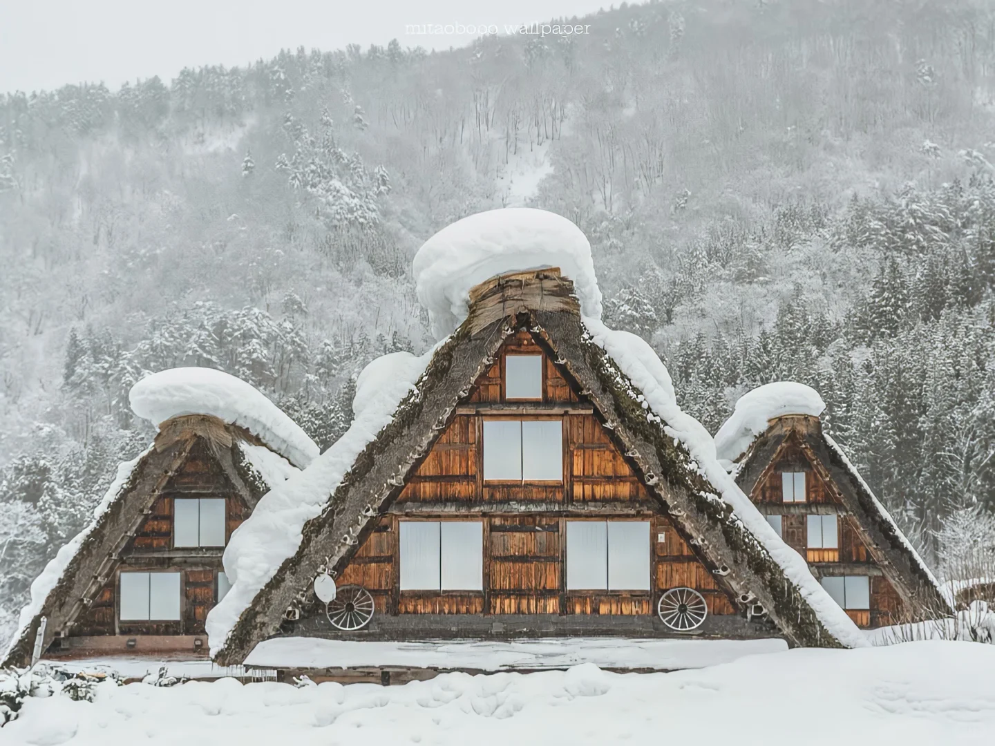 Share|治愈系iPad氛围感壁纸