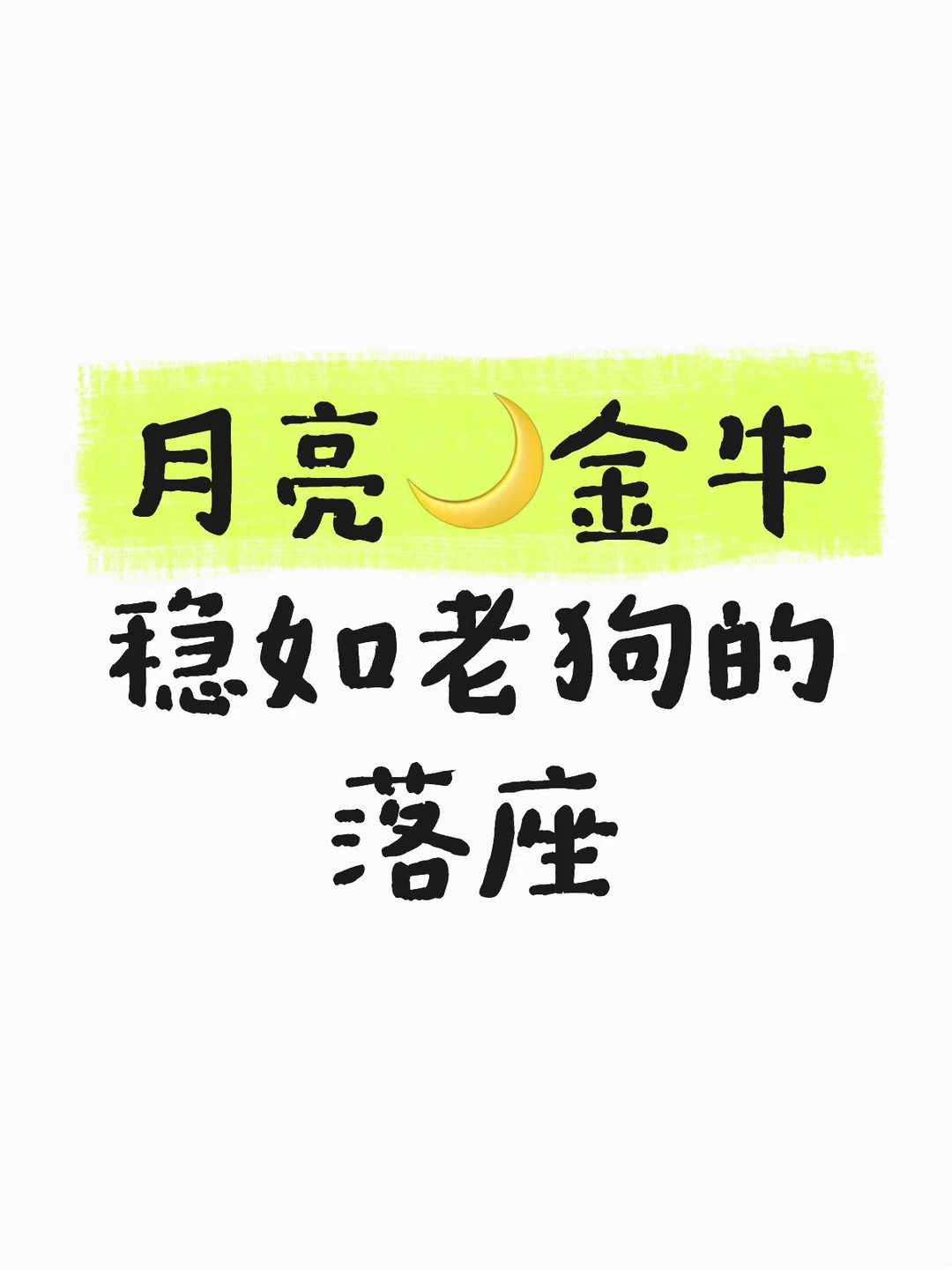 月亮金牛｜ 情感领域的磐石