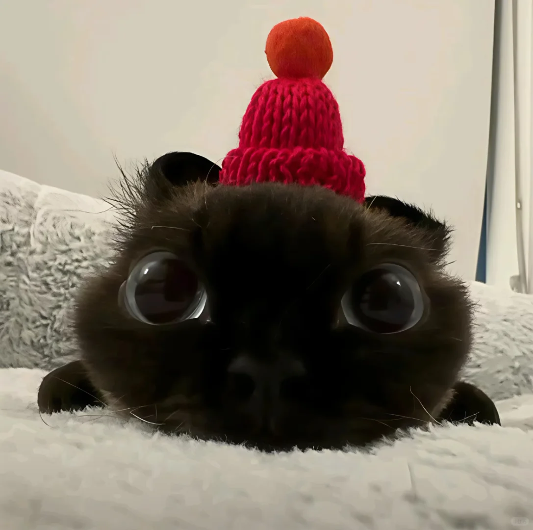 刚起号稳定起来的博主商务约公司求建议