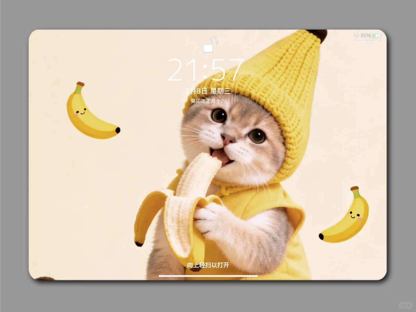 平板壁纸 | 每天的好心情就是打开一副美图