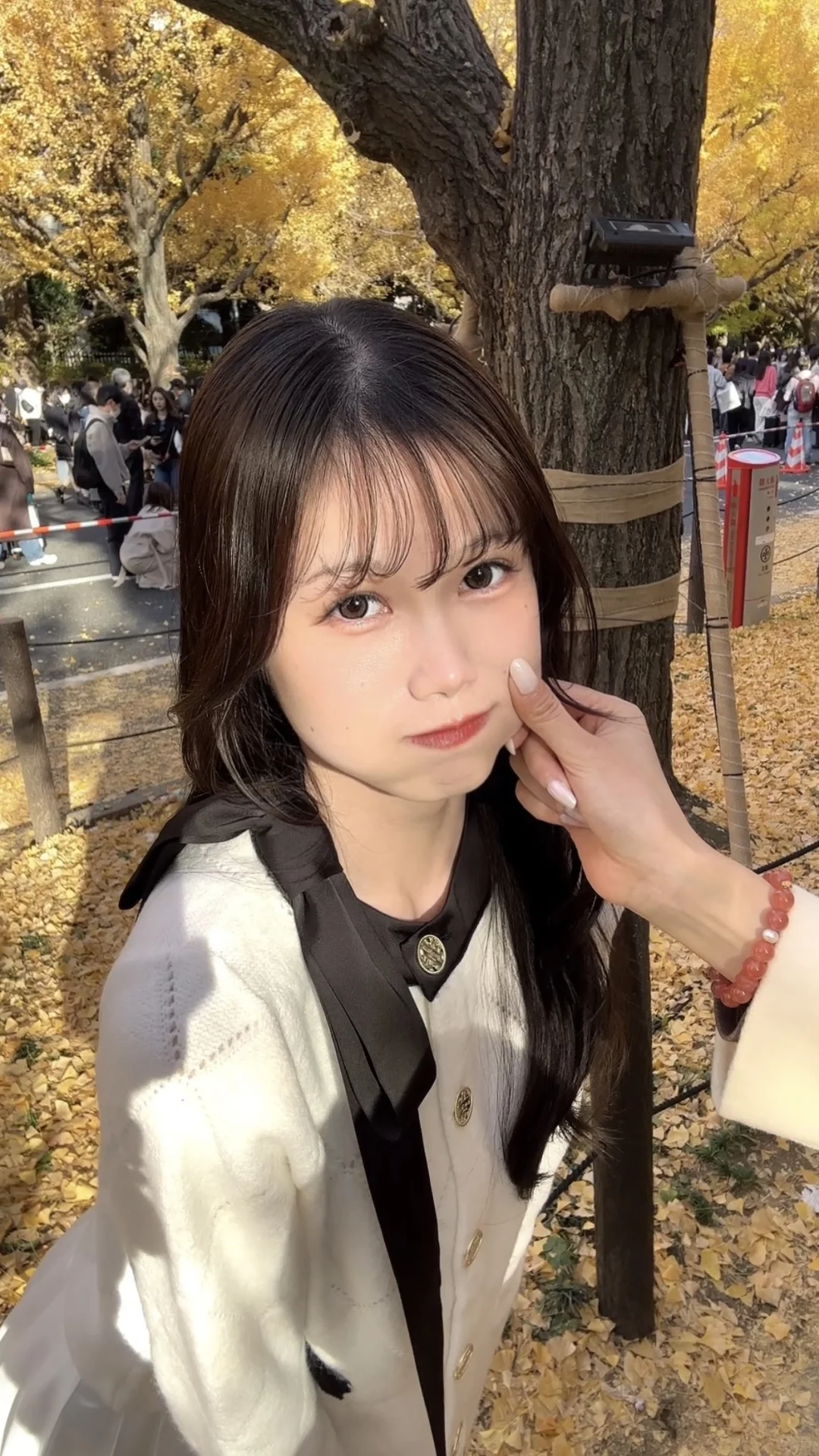 去抓住秋天的尾巴🍂