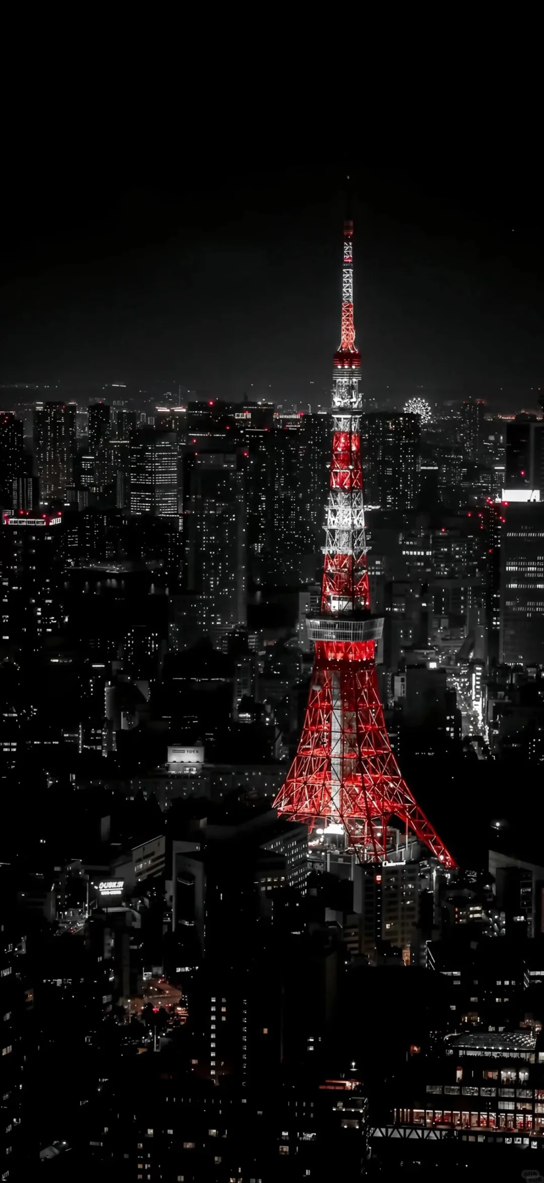 手机壁纸|东京铁塔的红色浪漫