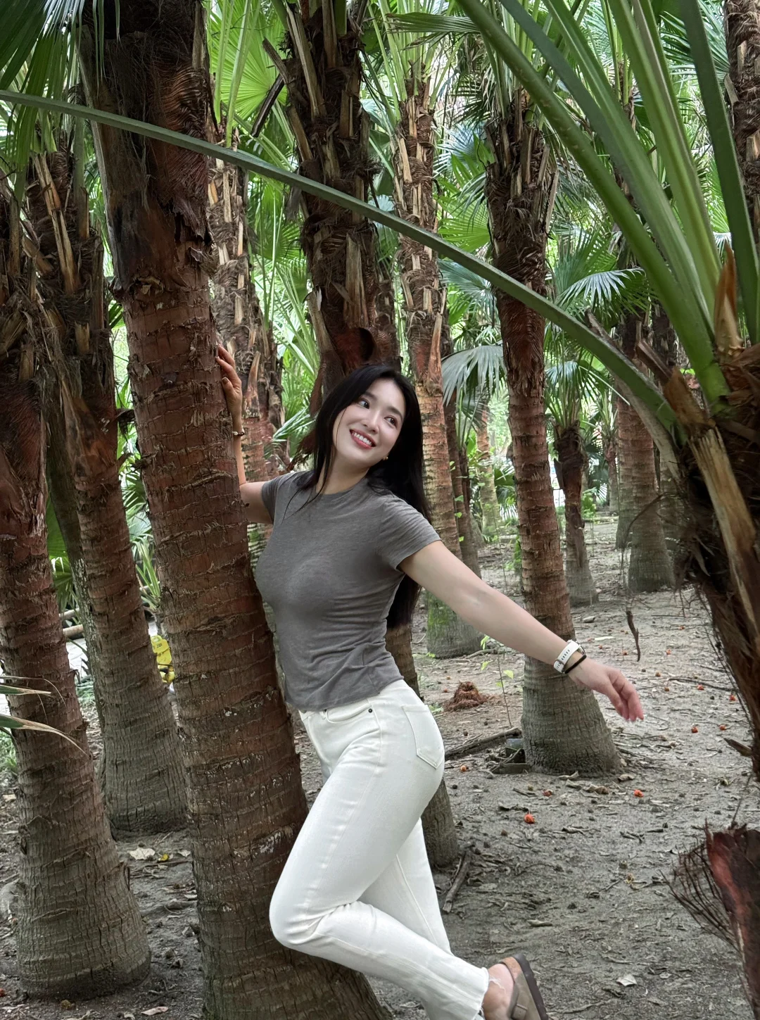 路过一片水杉林