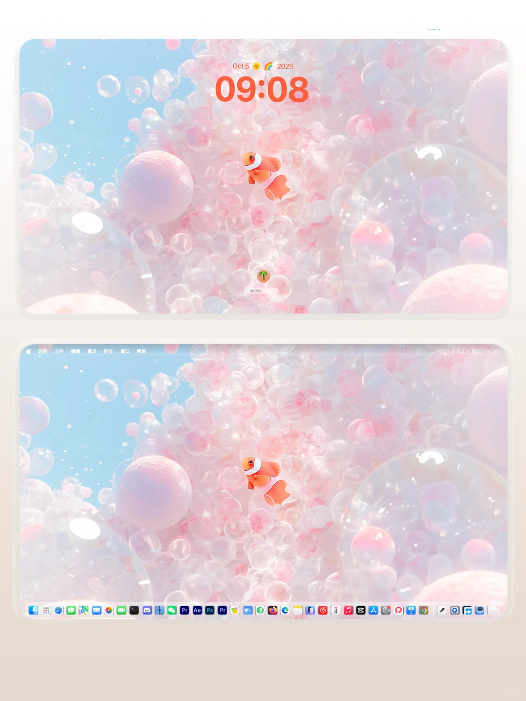 气泡小丑鱼｜高清壁纸｜232