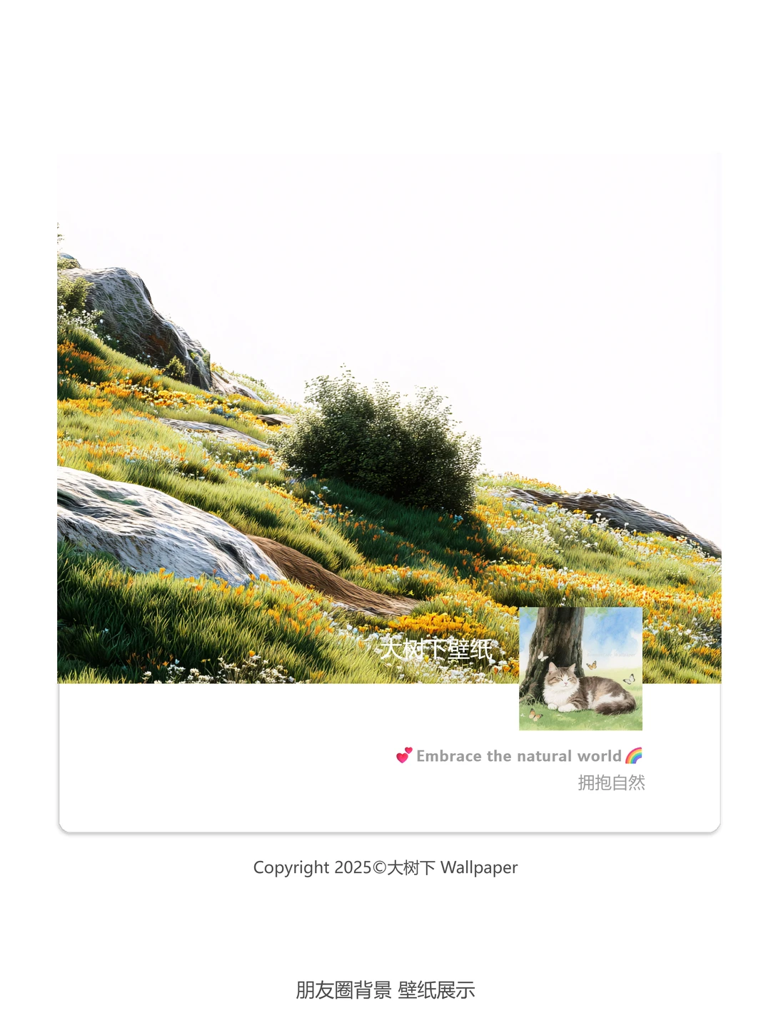 贫瘠山谷肆意绽放的花 | 护眼高清手机壁纸