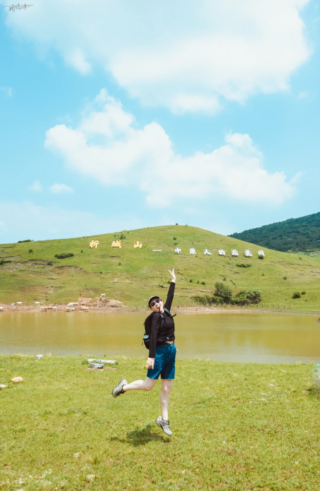 关于我拍的户外生命力