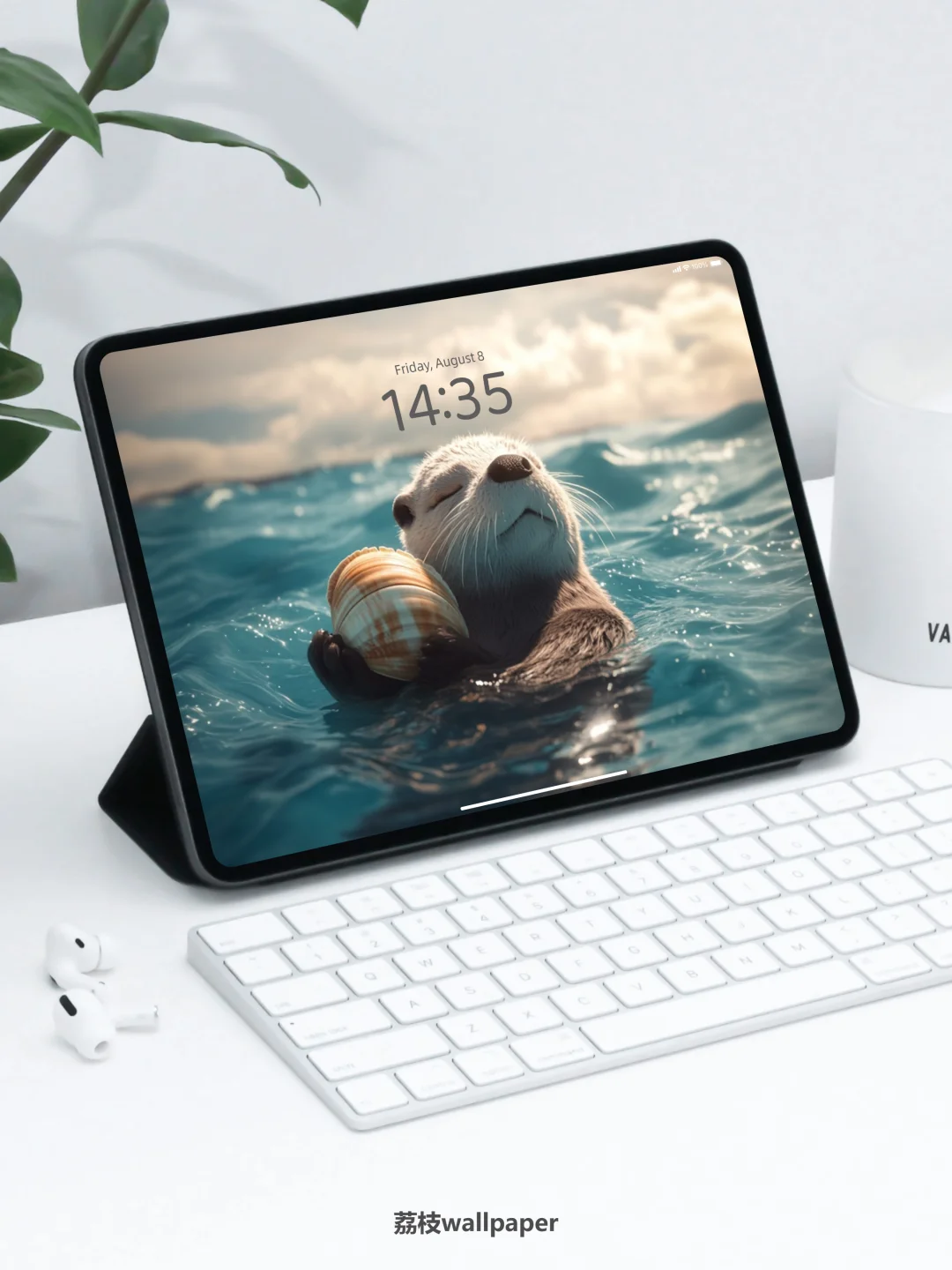 041｜简约高清壁纸｜贝壳海獭