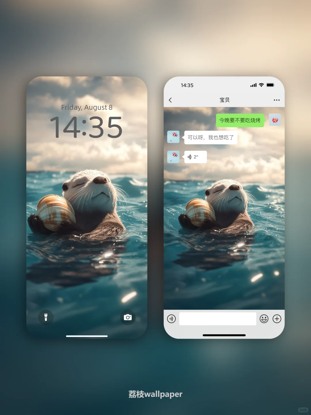 041｜简约高清壁纸｜贝壳海獭