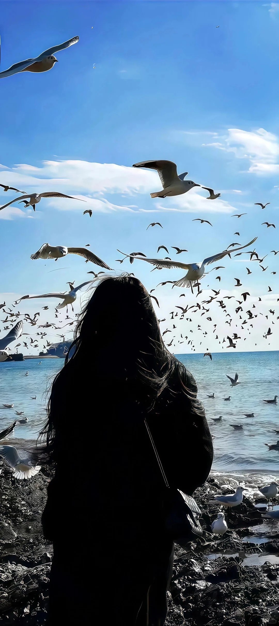 暗黑系壁纸｜都是精品壁纸！