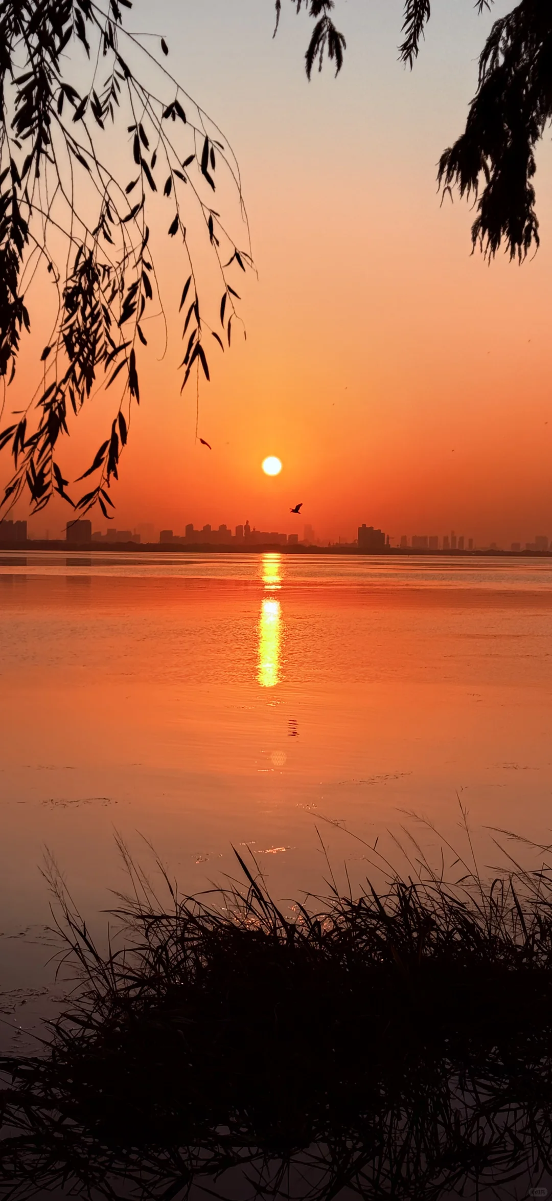 高能量自然法则，亲近大自然