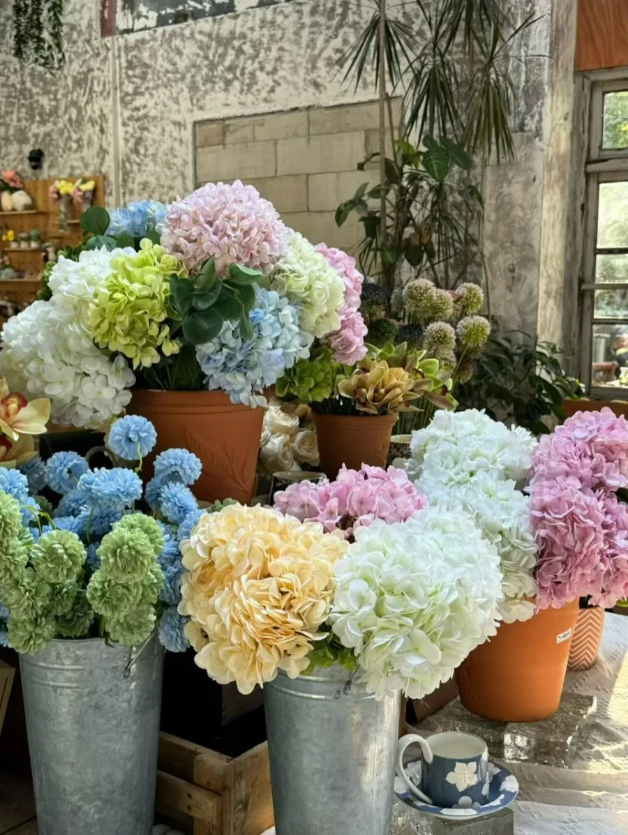 这一眼就沦陷了！👀