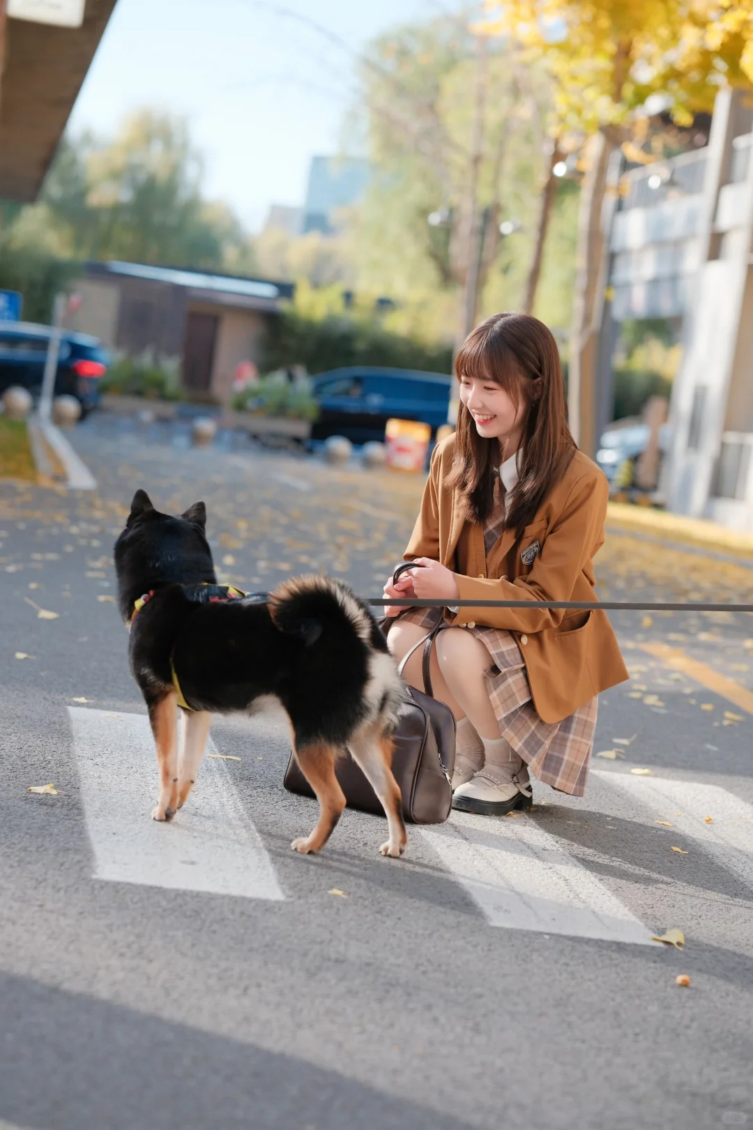 要和我一起走秋天的街吗？🍂