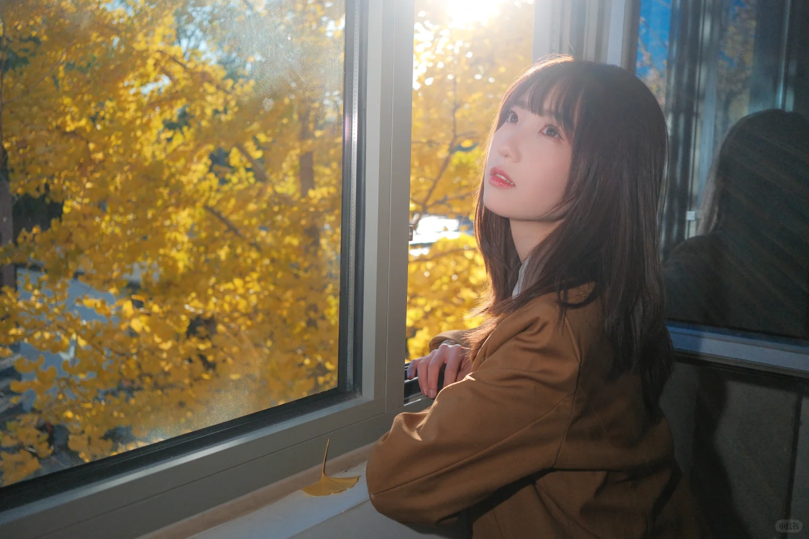 要和我一起走秋天的街吗？🍂