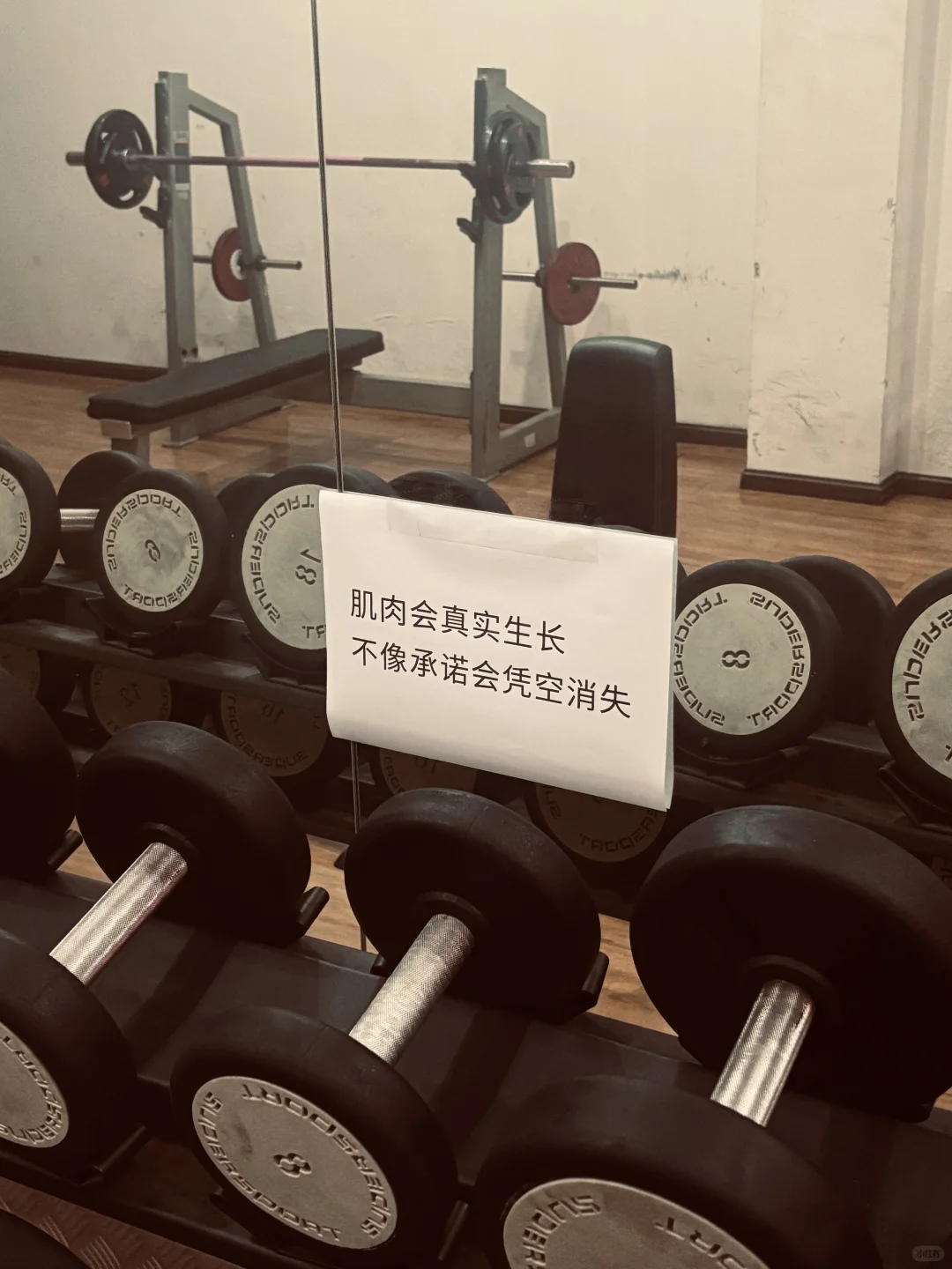 会员自己在健身房贴上语录了哈哈哈