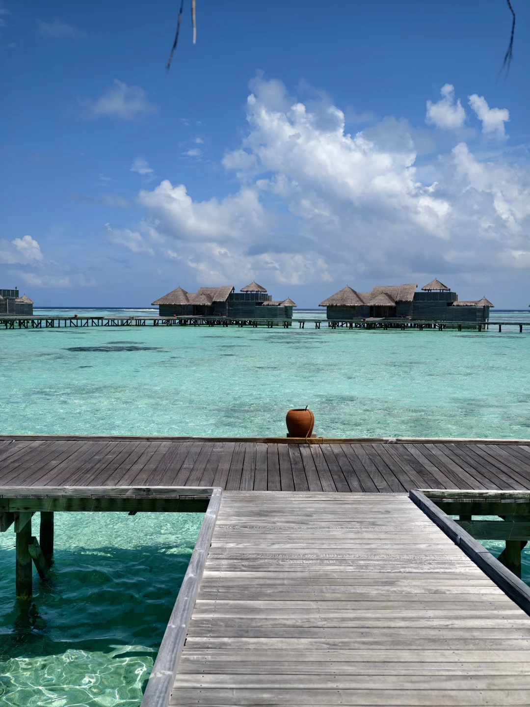 平胸｜在海岛就不会穿衣羞耻🏝️🏖️