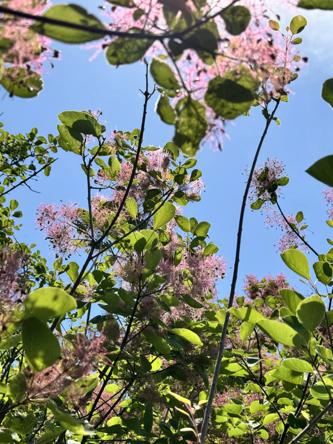 ⛰️山野漫步·自在如风 🌬️