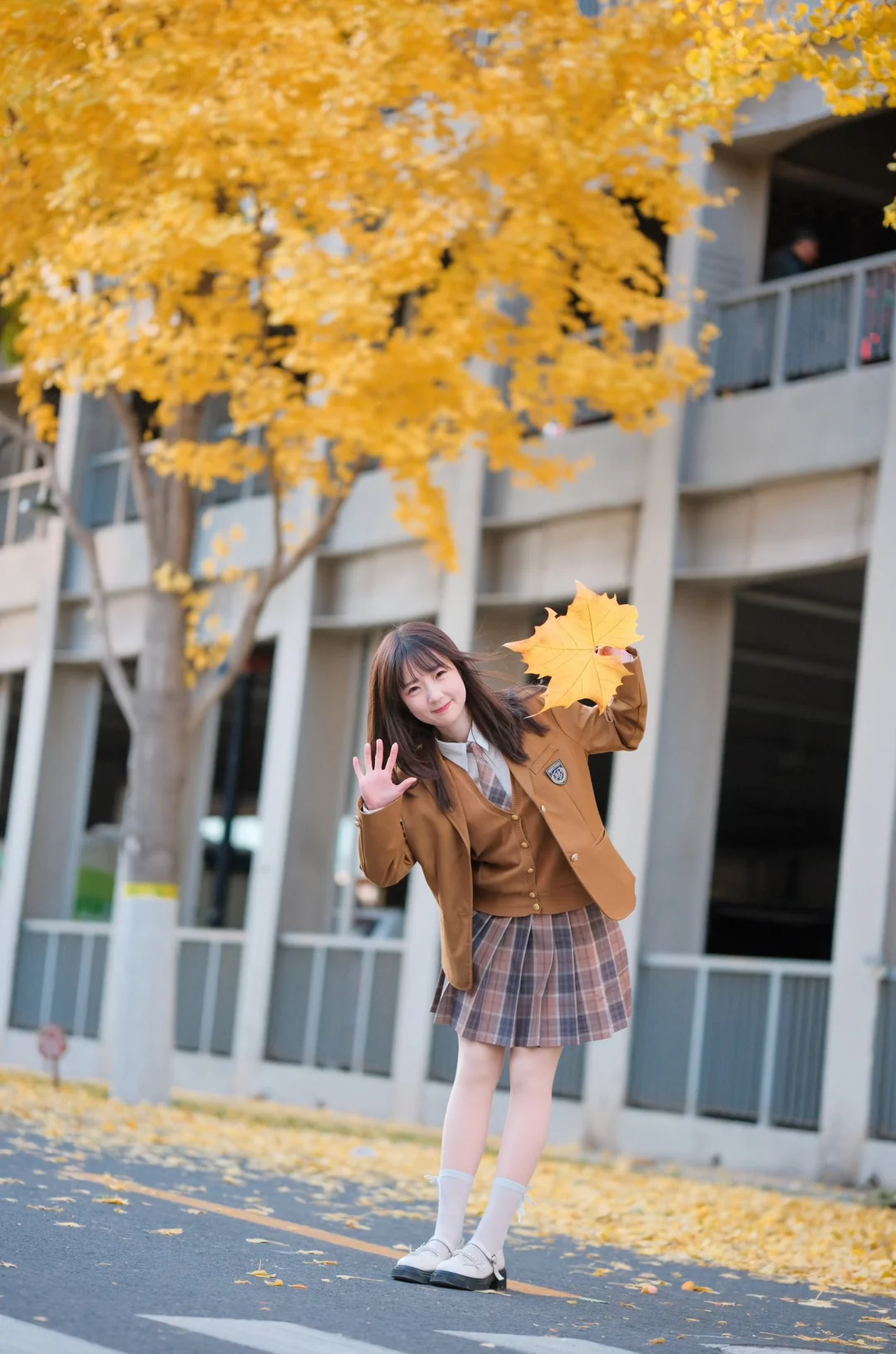 要和我一起走秋天的街吗？🍂