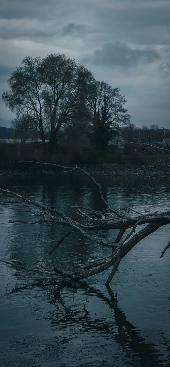 𝐒𝐡𝐚𝐫𝐞｜iPhone壁纸258期