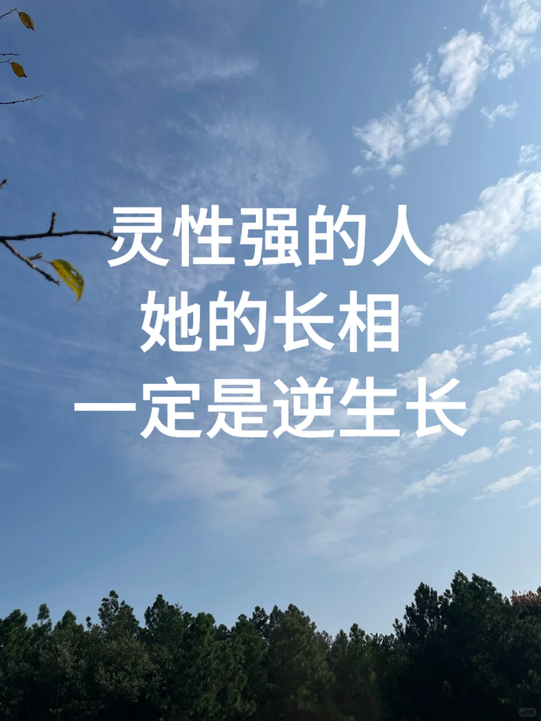 灵性强的人,她的长相一定是逆生长