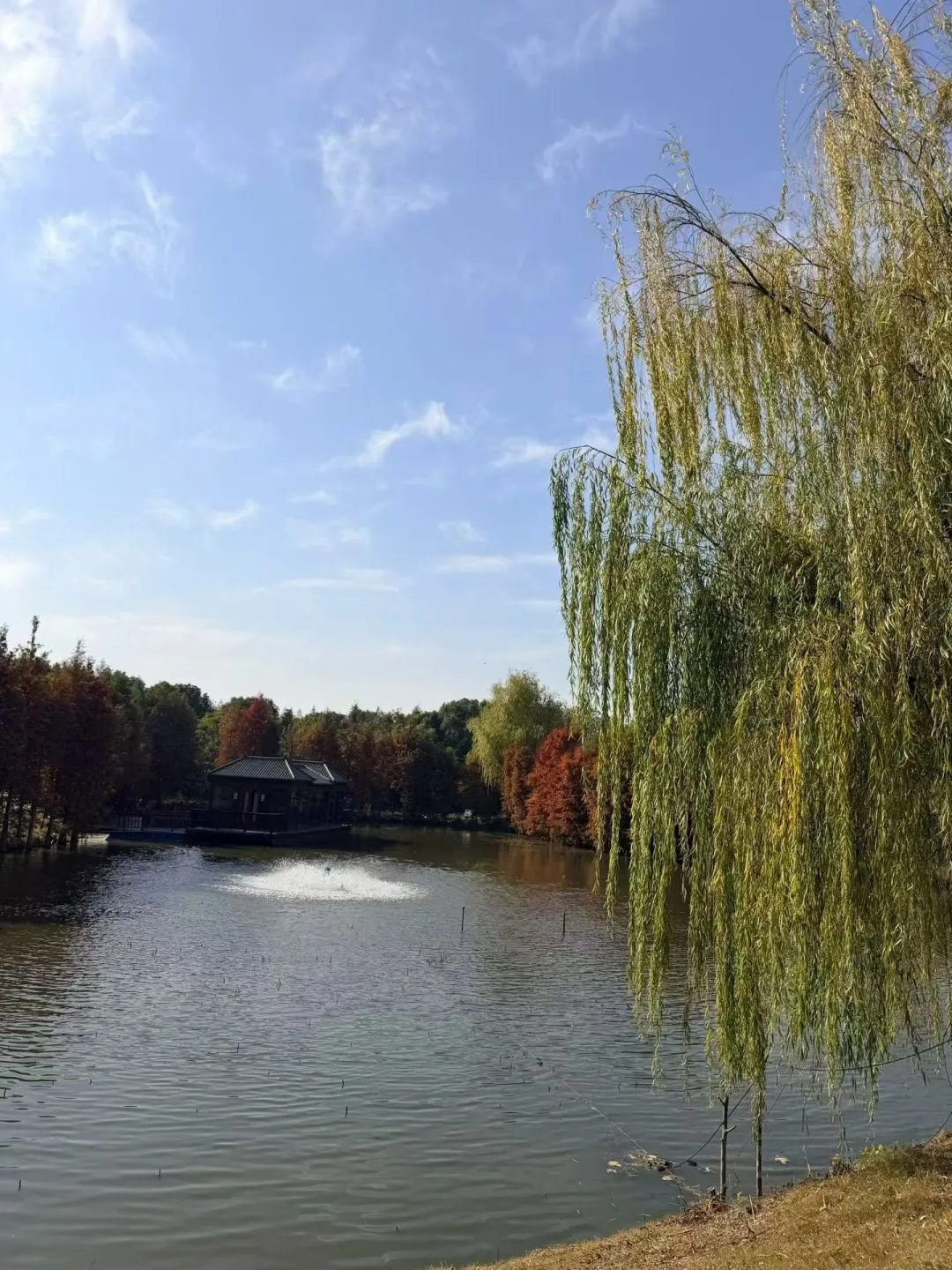 上市公司接班人联谊会